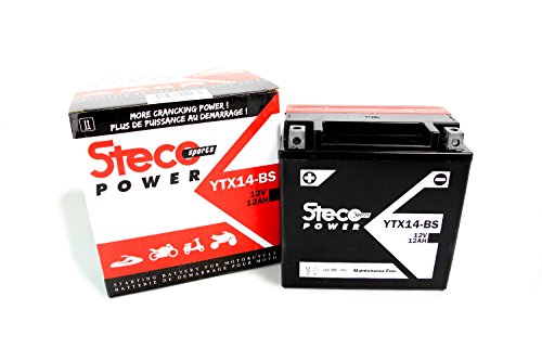 Batería sin mantenimiento YTX14-BS 12 V/12 Ah Hyosung GT 650i R Wi-Fi 2010, GV 250 2001 – 2007, GV 650 2006 – 2008 (Steco Power)