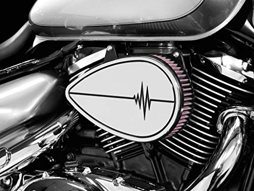 Highway Hawk - Carcasa para filtro de aire sin filtro de aire K&N para Honda VT 750 Shadow RC50, RC53 y RC58 Highway Hawk - Carcasa para filtro de aire sin filtro de aire K&N para Honda VT 750 Shadow RC50, RC53 y RC58