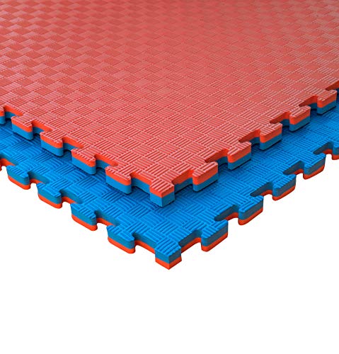JOWY Esterilla Goma Espuma Estructura Tatami Puzzle 2 cm | Suelo para Gimnasio Ideal Artes Marciales 1 m x 1 m x 2 cm Rojo/Azul en Acabado de 5 líneas