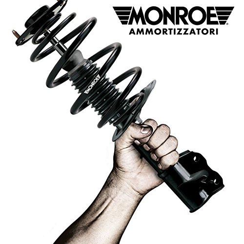 Monroe - Kit de 4 amortiguadores originales delanteros y traseros 11194 + R3450