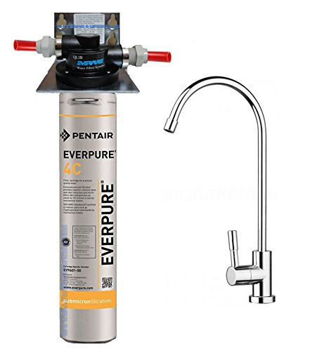 Purificador de agua micro filtración Kit Everpure 4C