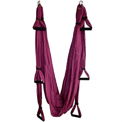 SUNERLORY Hamaca de nailon para yoga aéreo o con correa para trapecio, kit de fitness para inversión antigravedad (morado)