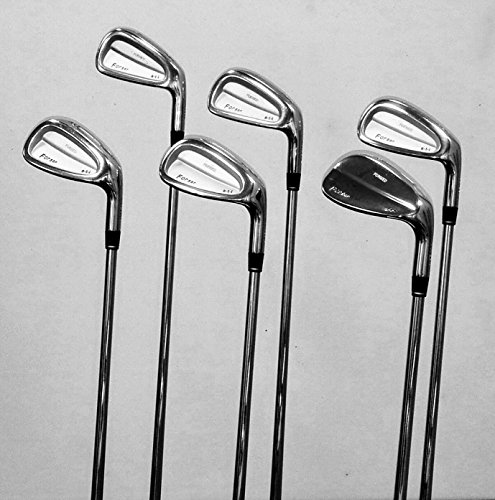 WalkGolf Forsa 2800 Forged Iron MOI Matched/armoniised - Juego de palos de golf para hombre para golfistas avanzados y avanzados (hierro: 2)
