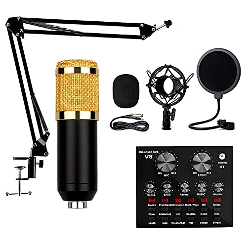YQGOO Microfono de Condensador Kit, BM-800 TTarjeta de Sonido V8 Recargable con 12 Tipos de música de Fondo Auxiliar para PC,Grabar,Gaming,Podcast（Conexión Bluetooth）