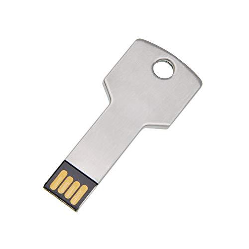 64 GB Memoria Flash USB 2.0 Llave PenDrive Metal Flash Drive Divertido Formas Memory Stick Uflatek Plata U Disco Almacenamiento de Datos para Computadoras PC y Tableta