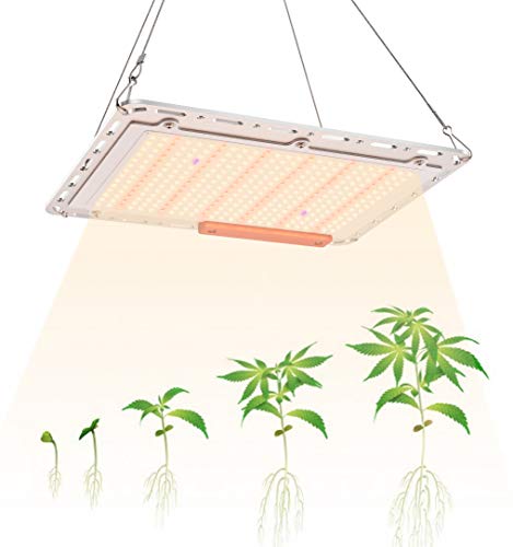 GAMERKING LED Plant Grow Light 1000W con 350 pcs LED Plant Light de Espectro Completo para Vegetales hidropónicos Plantas de Interior Flores y plántulas Invernadero Impermeable No Ruidoso (A-120)