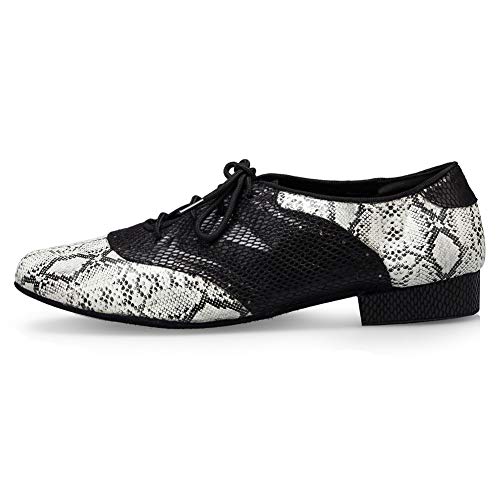 HROYL Zapatos de Baile de latín/Jazz estándar de los Hombres de Cuero Lace up Zapatos de Baile de los Hombres de salón de Baile L040 EU42 HROYL Zapatos de Baile de latín/Jazz estándar de los Hombres de Cuero Lace up Zapatos de Baile de los Hombres de salón de Baile L040 EU42