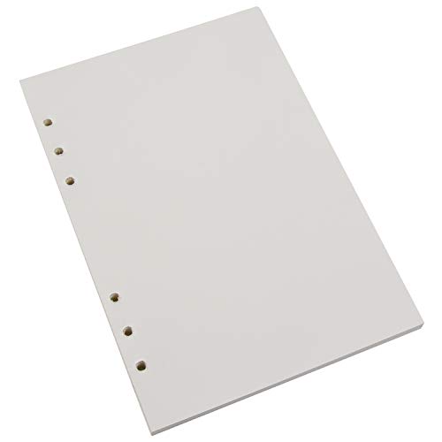 VEESUN Recambios de Blanco Papel de 6 Agujeros A5 para Insertos de Cuadernos Diarios, 21 x 14,8 cm, 120 Hojas