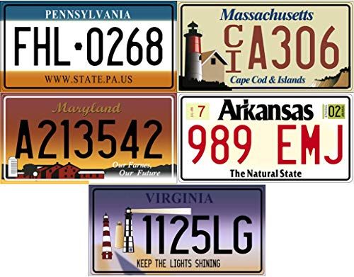 OPO 10 - Lote de 5 Placas de matrícula de automóviles de EE. UU. En Metal: réplicas de Placas estadounidenses Reales (v5)
