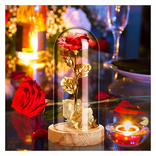 Rosa Eterna Rosas Bella y Bestia, Elegante Cúpula de Cristal con Base Pino Luces LED Regalos para el Día de San Valentín, Día de la Madre, Aniversario de Bodas, Cumpleaños