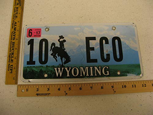 TammieLove Wyoming Wy Vanity Placa de matrícula #10 Eco Science Ecosystems de 15 x 12 Pulgadas