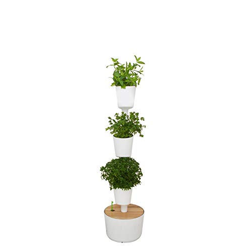 CitySens - Kit Huerto urbano vertical con autorriego digital, blanco, 3 macetas CitySens - Kit Huerto urbano vertical con autorriego digital, blanco, 3 macetas