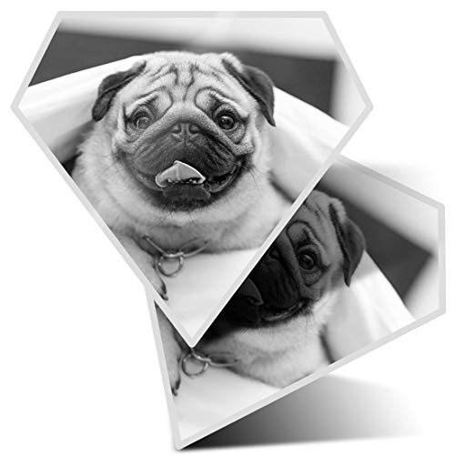 Impresionante 2 pegatinas de diamante de 7,5 cm BW – Divertido perro carlino en la cama calcomanías divertidas para portátiles, tabletas, equipaje, libros de chatarra, neveras, regalo genial #36904