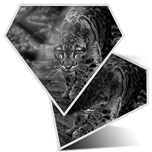 Impresionante pegatinas de diamante de 7,5 cm BW, diseño de leopardo y gato salvaje en nubes para portátiles, tabletas, equipaje, libros de chatarra, neveras, regalo genial #39008