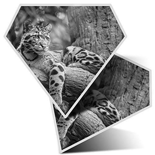 Impresionante pegatinas de diamante de 7,5 cm BW, diseño de leopardo y gato salvaje en nubes para portátiles, tabletas, equipaje, libros de chatarra, neveras, regalo genial #39009
