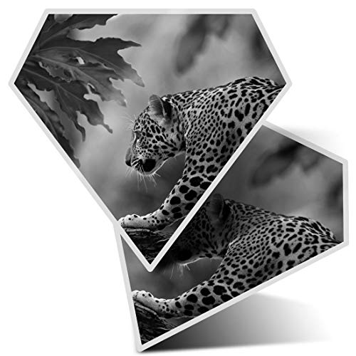 Impresionante pegatinas de diamante de 7,5 cm BW – Wild Leopard Jungle Cat divertido calcomanías para portátiles, tabletas, equipaje, libros de chatarra, neveras, regalo genial #42253