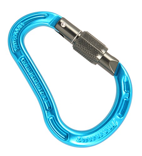 Mammut Bionic HMS Screw Mosquetón de Escalada, Unisex Adulto, Azul (Gate Aqua), Talla Única