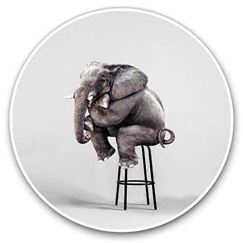 Pegatinas de vinilo impresionantes (juego de 2) 25 cm – Funny Elephant Sitting Down Fun calcomanías para ordenadores portátiles, tabletas, equipaje, chatarra, neveras, regalo fresco #16786