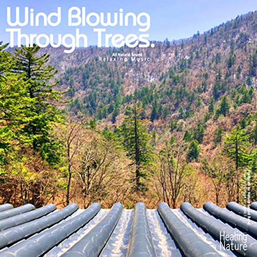 The Sound of Wind in Odae Mountain (Team Malibu)