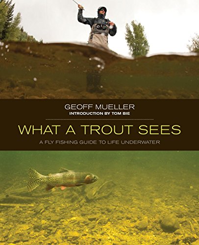 What a Trout Sees: A Fly-Fishing Guide to Life Underwater (English Edition)