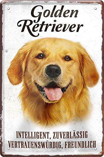 N / A Golden Retriever - Placa decorativa (20 x 30 cm), diseño de perro