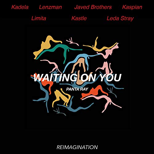 Waiting on You (Leda Stray Remix)