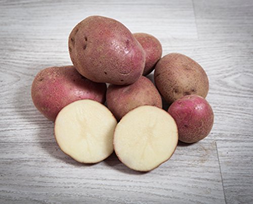 3 kg. Patata Roja / Especial para Guisar y Cocer - Selección Gourmet