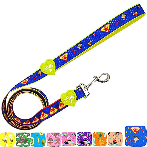 Correa de poliéster Premium para Perro, Mango Acolchado Suave para Paseo o Entrenamiento de Mascotas Correa de Perro Mediano, Grande o Perro pequeño (Color Azul)