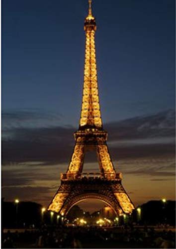 La Tour Eiffel: la tour Eiffel, initialement nommée tour de 300 mètres, est une tour de fer puddlé construite par Gustave Eiffel et ses collaborateurs ... de Paris de 1889 (French Edition)