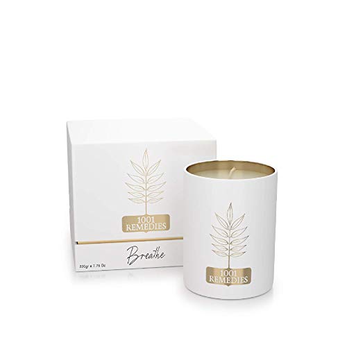 1001 Remedies Vela Perfumada Breathe - Velas navideñas Frescas perfumadas con aceites Esenciales de Pino, eucalipto y Lavanda - 100% Natural, Cera orgánica, 220 g 1001 Remedies Vela Perfumada Breathe - Velas navideñas Frescas perfumadas con aceites Esenciales de Pino, eucalipto y Lavanda - 100% Natural, Cera orgánica, 220 g