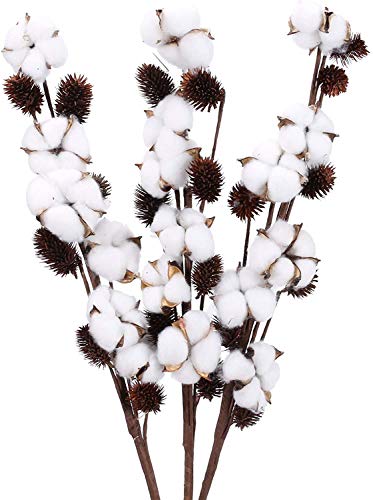 Ruiuzioong tallos de algodón seco natural, estilo granja, flores artificiales, relleno para decoración de fiestas (3 pines)