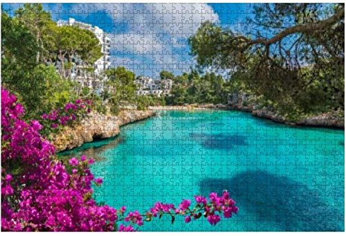 Vista panorámica de la playa de Carambola,St. Croix,Islas Vírgenes de EE. UU,Rompecabezas grandes de 1000 piezas para adultos,juguete educativo para adultos,niños,juego de rompecabezas grande,juguet Vista panorámica de la playa de Carambola,St. Croix,Islas Vírgenes de EE. UU,Rompecabezas grandes de 1000 piezas para adultos,juguete educativo para adultos,niños,juego de rompecabezas grande,juguet