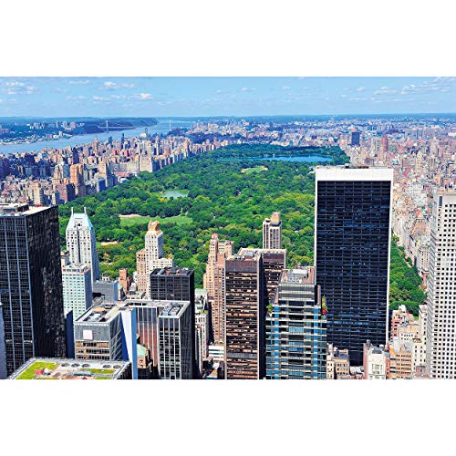 GREAT ART® Póster – Central Park - Manhattan Nueva York Paseo de America City Park Panorama Park East River Estados Unidos Decoración de Pared DIN A2 (42 x 59,4 cm)