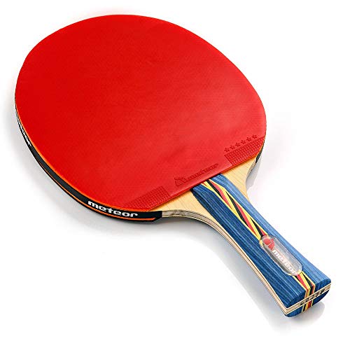 Pala Tenis de Mesa Ideal para Principiantes y avanzados - la Raqueta de Tenis de Mesa para niños y Adultos - Raqueta Mesa Ping Pong para Entrenamiento y Partidos (6 Estrellas)