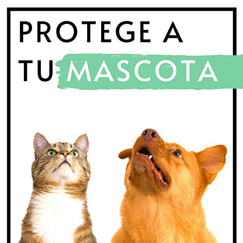 Protege a tu Mascota