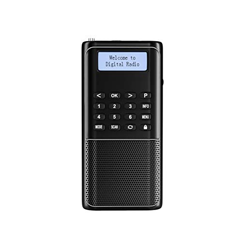 Raddy RD23 Radio Portátil Digital Dab Dab+ FM con Bluetooth Recargable