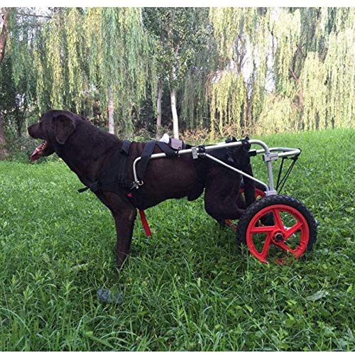 SSB 2 perros ruedas ruedas de carro de perro doméstico del gato ajustable silla de ruedas silla de ruedas for mascotas Perro Perro de bicicletas remolques suave y cómodo for de nuevo Rehabilitación Pi