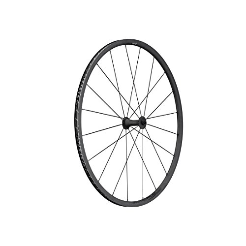 DT Swiss WHDTPR1401F - Pieza para Bicicleta (21 mm, Aluminio)