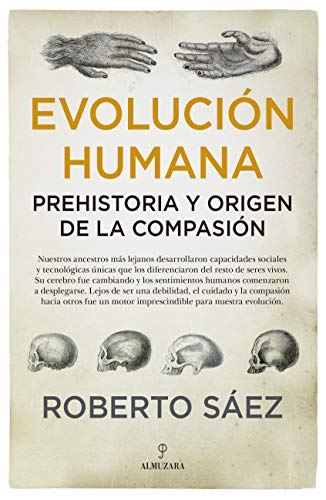 evolución humana: Prehistoria y Origen De La