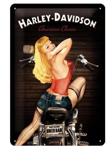 Placa de pared decorativa Harley Davidson Pre-Luxe