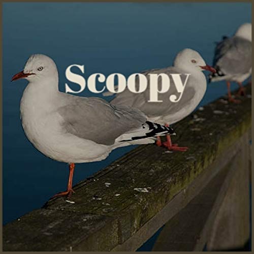 Scoopy