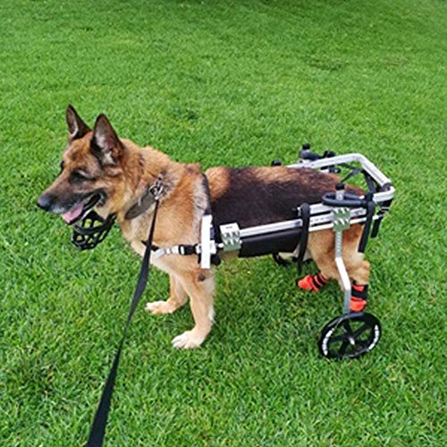 Silla De Ruedas Ajustable para Perros - para Perros Medianos/Grandes De 4 A 11 Libras - Aprobada por Veterinarios - Silla De Ruedas para Perros para Patas Traseras Silla De Ruedas Ajustable para Perros - para Perros Medianos/Grandes De 4 A 11 Libras - Aprobada por Veterinarios - Silla De Ruedas para Perros para Patas Traseras