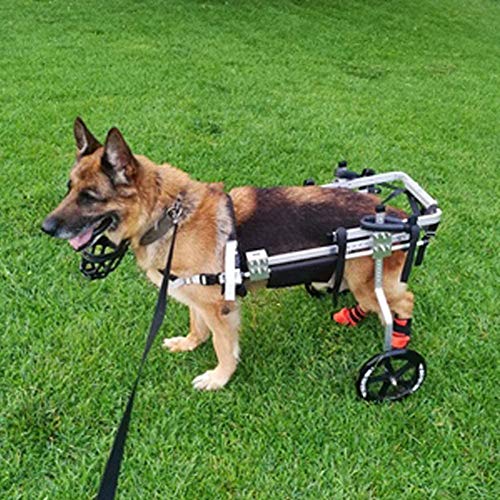 Silla De Ruedas Ajustable para Perros - para Perros Medianos/Grandes De 4 A 11 Libras - Aprobada por Veterinarios - Silla De Ruedas para Perros para Patas Traseras