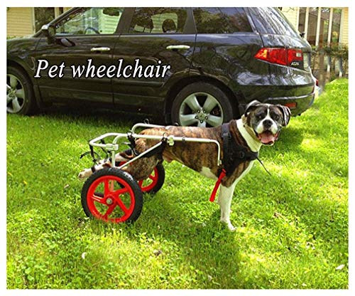 Silla de Ruedas para Perros,Ciclomotor Scooter para Mascota,Adecuado para Perro Discapacitado Paralizada Patas Traseras Rehabilitación Del Caminar Asistido,Ajustable,2 Ruedas,1.5kg(3.3lb)-50kg(110lbs) Silla de Ruedas para Perros,Ciclomotor Scooter para Mascota,Adecuado para Perro Discapacitado Paralizada Patas Traseras Rehabilitación Del Caminar Asistido,Ajustable,2 Ruedas,1.5kg(3.3lb)-50kg(110lbs)
