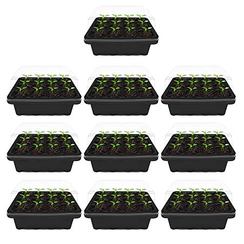 10 macetas transparentes de plástico, 12 agujeros, bandeja de semillas hidratante y preservante de calor, mini invernadero para semillas con tapa para emparejar y crecer semillas (negro)