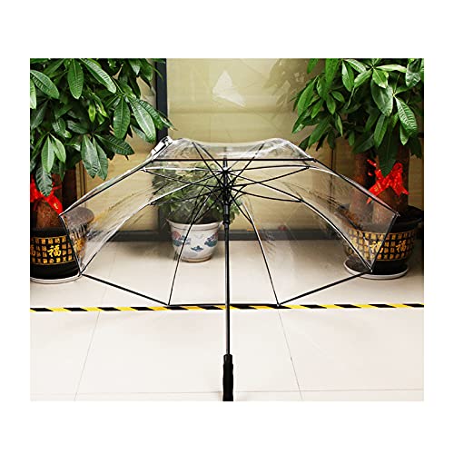 DTKJ Paraguas Transparente Transparente de Fibra Completa de 30 Pulgadas Paraguas Transparente de Golf, Paraguas de Mango Largo semiautomático Recto