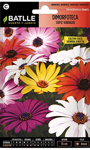Semillas de Flores - Dimorfoteca Tapiz variado - Batlle