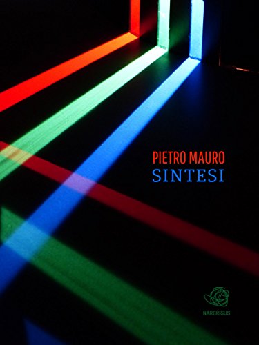 Sintesi (Italian Edition)