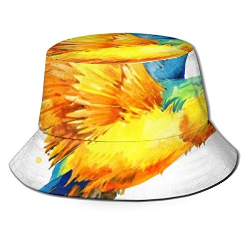 Flat Top Breathable Bucket Hats Unisex Funny Avocado Bucket Hat Summer Sombrero de Pescador