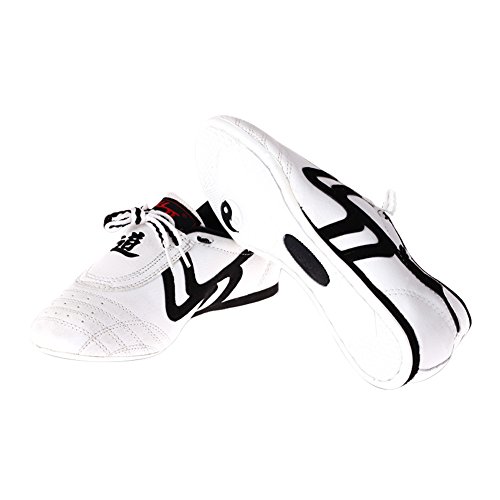 Zapatos de Taekwondo, Zapatos Antideslizantes de Artes Marciales ( tamaño : 28 )